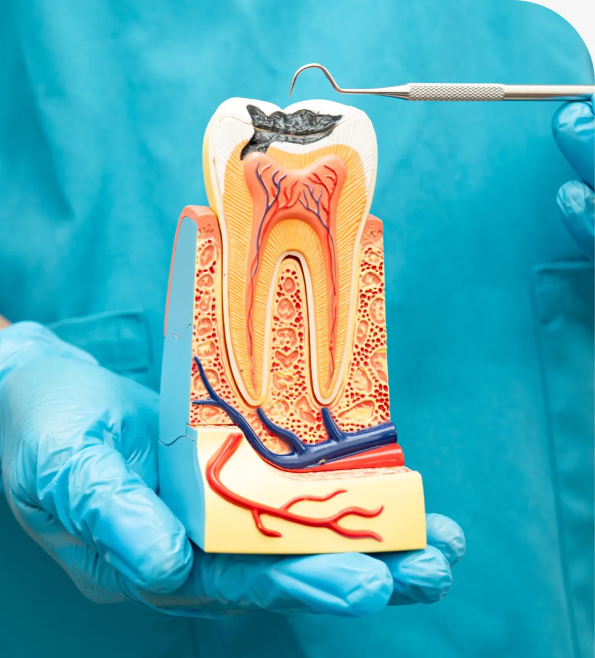 Tooth Extractions in Twin Falls, ID